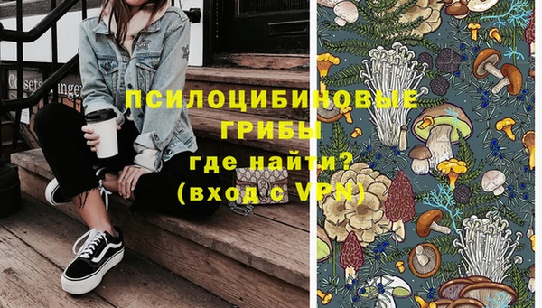 меф Белокуриха