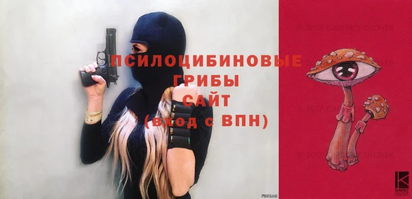 сатива Богородск