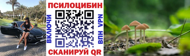 Купить  Невельск  Галлюциногенные грибы прущие грибы 